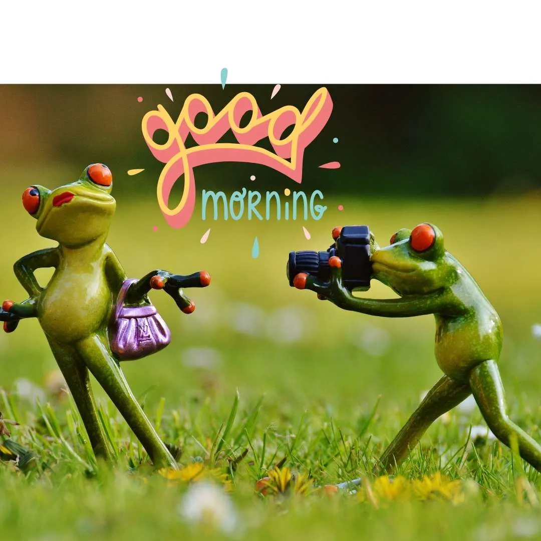 a male frog shooting female frog funny good morning image