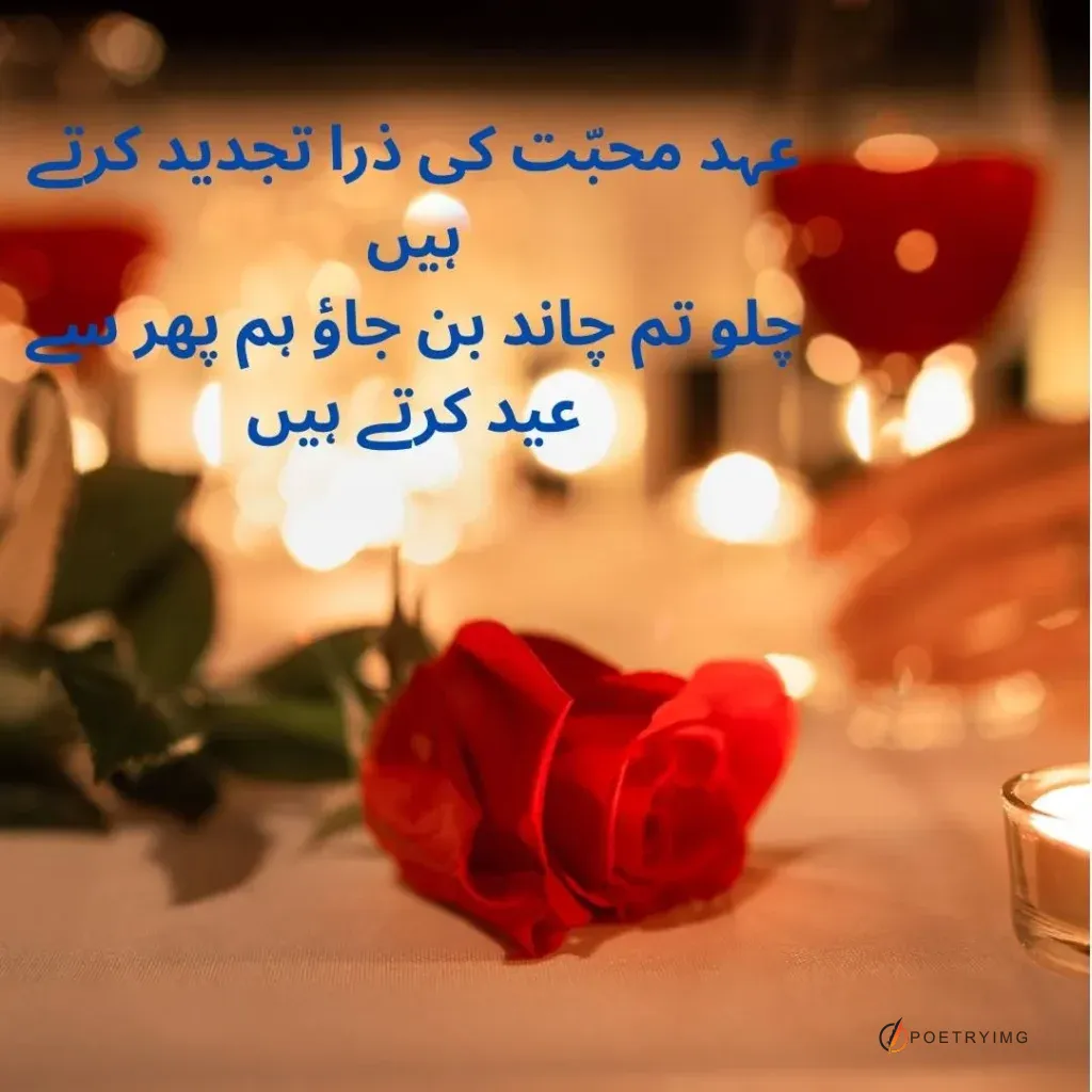 beautiful rose in background love poetry and shayari